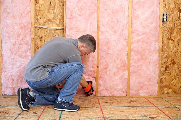 Best Spray Foam Insulation  in Forest Hills, MI